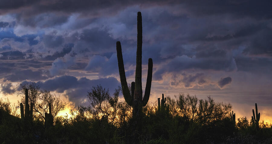 Sunset Photograph - Dramatic Sunset Skies Of The Sonoran by Saija Lehtonen
