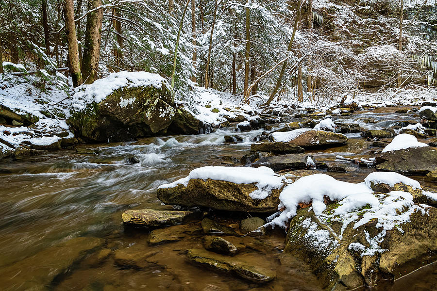 Drawdy Creek in Snow Photograph by SC Shank