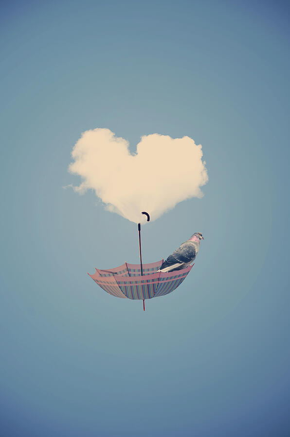 Dream Photograph by Adrian Limani