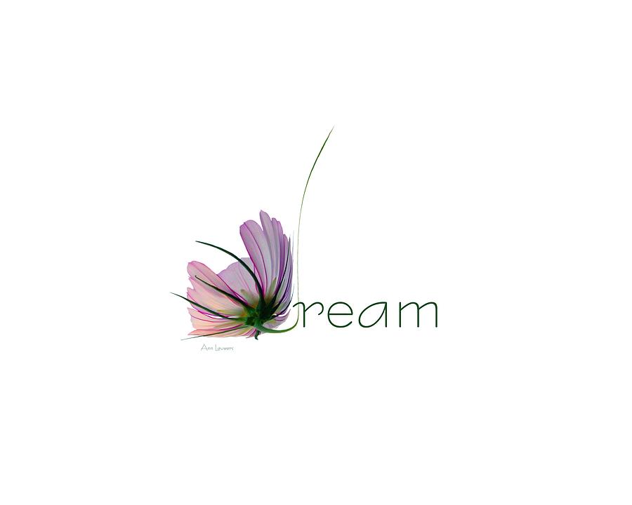 Dream by Ann Lauwers Dream by Ann Lauwers