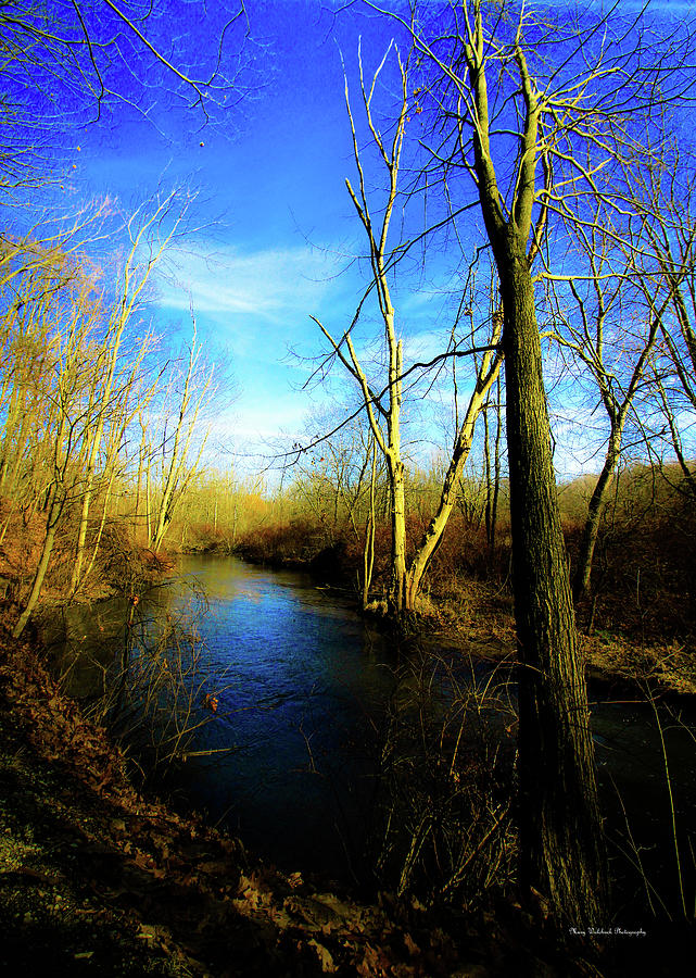 Dream by the Stream Photograph by Mary Walchuck