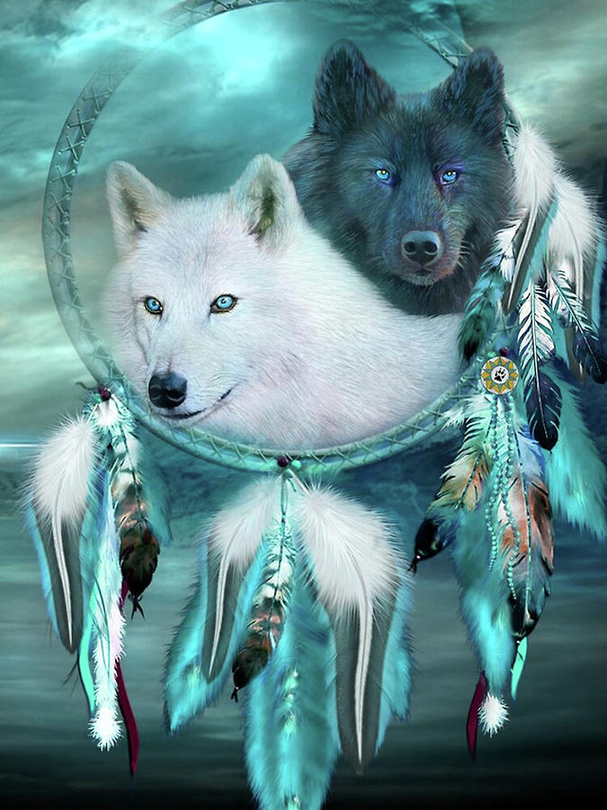 Dream Catcher White Wolf Black Wolf Digital Art by Cele Harris - Fine ...