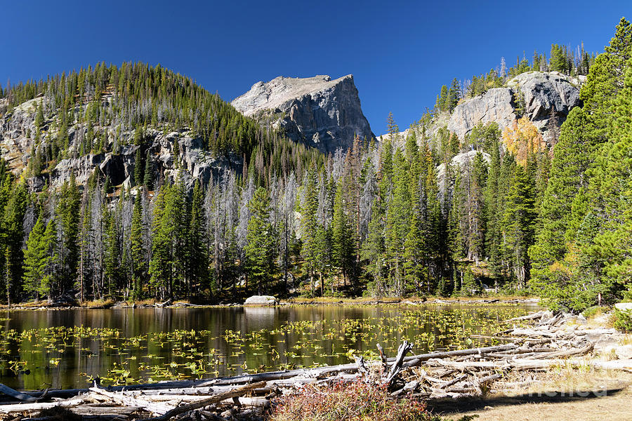 Dream Lake and Rugged Peaks Photograph by Steven Krull
