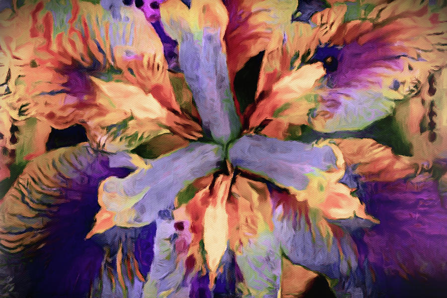 Dream Pop Japanese Iris Digital Art by Susan Maxwell Schmidt