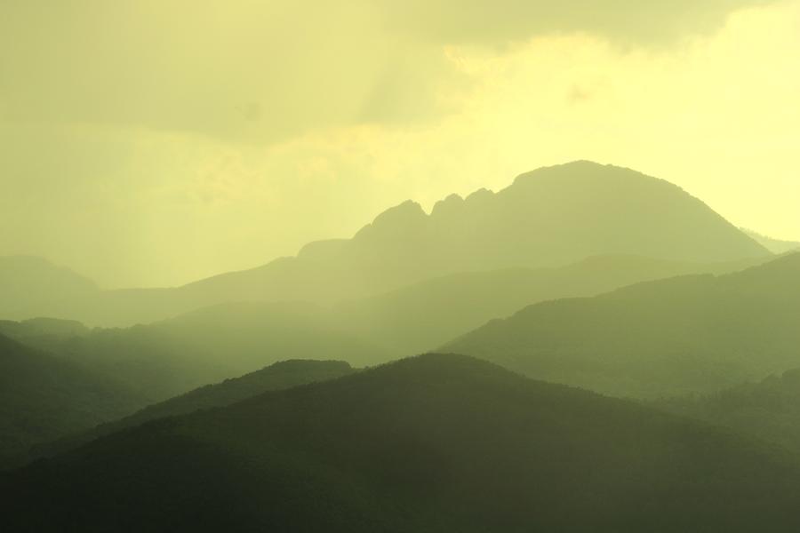 Dream Smell Photograph by Cozma Mihaela Fine Art America