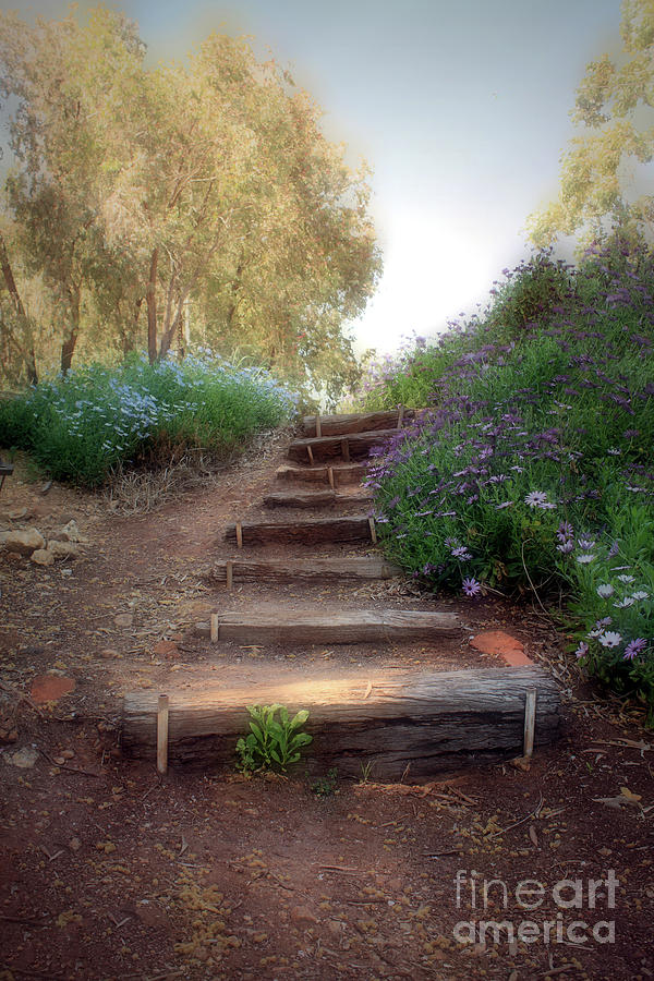 Dream Steps Photograph by Elaine Teague