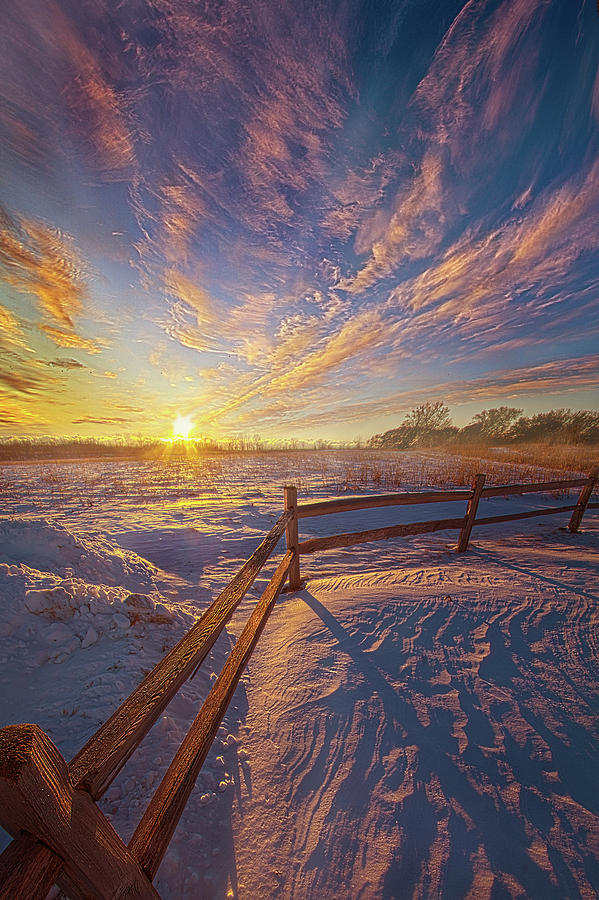 Sunset Photograph - Dream Weaver by Phil Koch