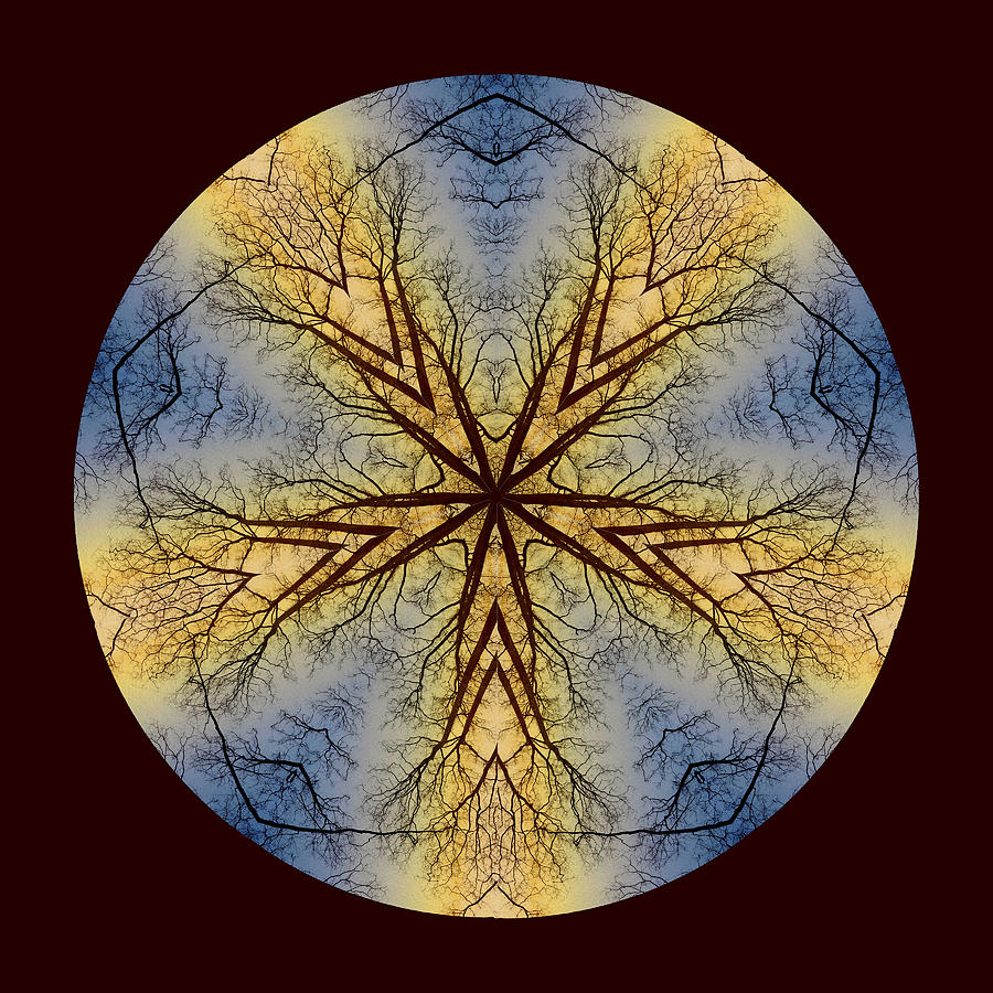 Dreamcatcher Tree Mandala Digital Art