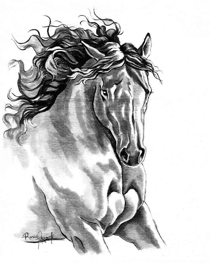 Dreamer Galloping Black Ink Horse Painting by Renee Forth-Fukumoto