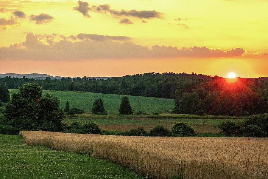 Dreaming Field Sunset Photograph by Michael Scott