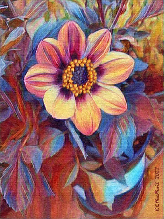 Dreaming Flower Digital Art by Barbara MacPhail