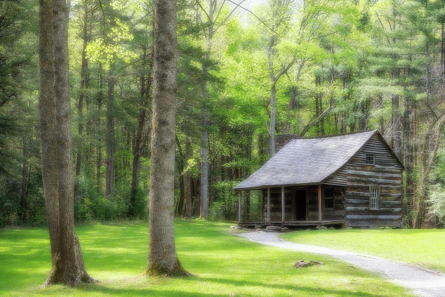 Dreaming of a Cabin in the Woods Photograph by Robert Carter