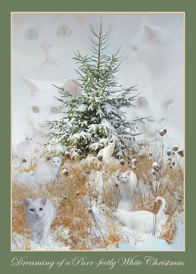 Dreaming of a Purrfectly White Christmas Digital Art by Nancy Griswold