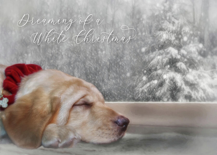 Dreaming of a White Christmas 4 Mixed Media by Lori Deiter
