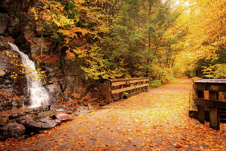 Dreaming of Fall on the DL Trail Photograph by Jason Fink