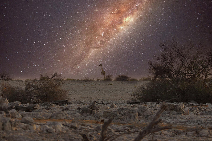 Dreaming of Namibia Photograph by Ernest Echols