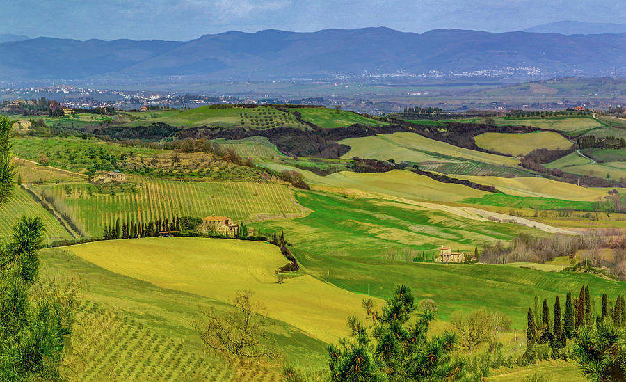 Dreaming of Tuscany Photograph by Marcy Wielfaert