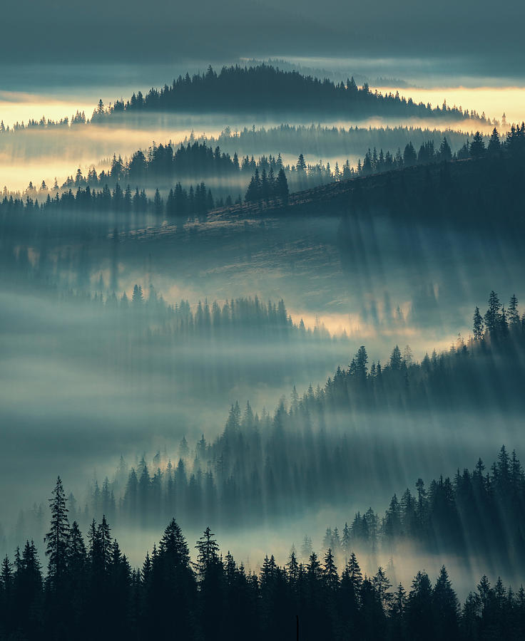 Dreamland Photograph by Cosmin Stan