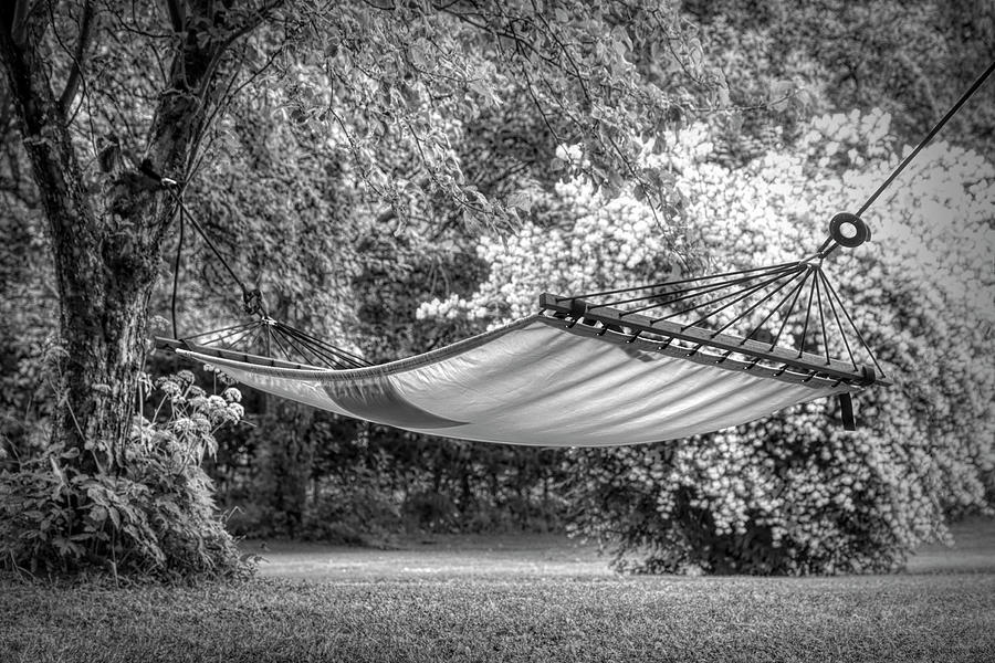 Dreams in the Garden in Black and White Photograph by Debra and Dave Vanderlaan