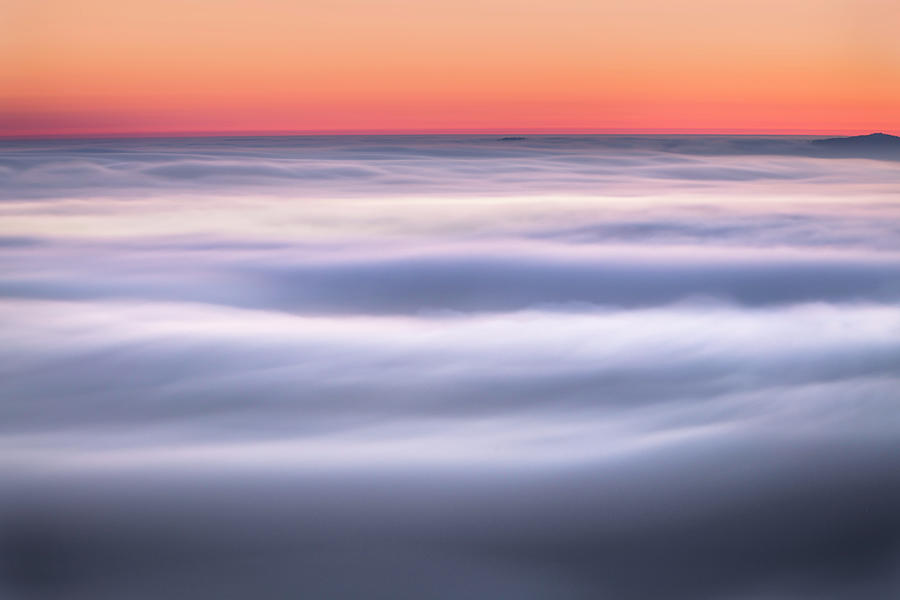 Dreams of Fog Photograph by Shelby Erickson