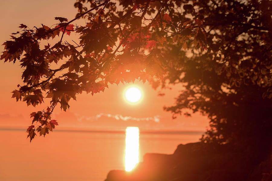 Dreamy Autumn - Lakeside Sunset in Bold Tangerine Cinnamon and Mahogany Photograph by Georgia Mizuleva