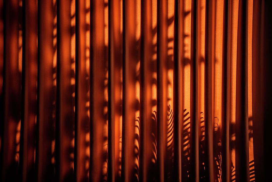 Dreamy Bali - Red Curtain Shadow II Photograph by Philippe HUGONNARD
