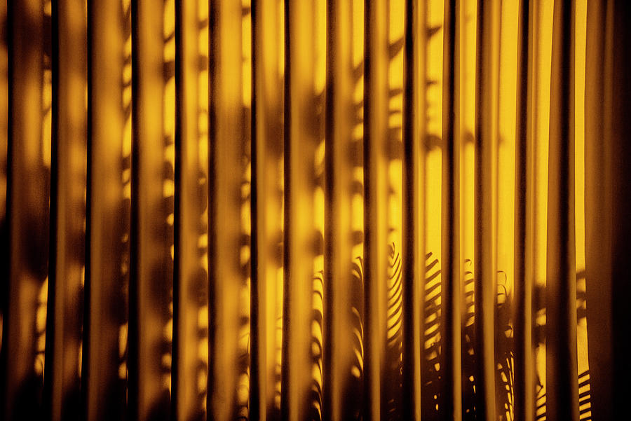 Dreamy Bali - Yellow Curtain Shadow II Photograph by Philippe HUGONNARD