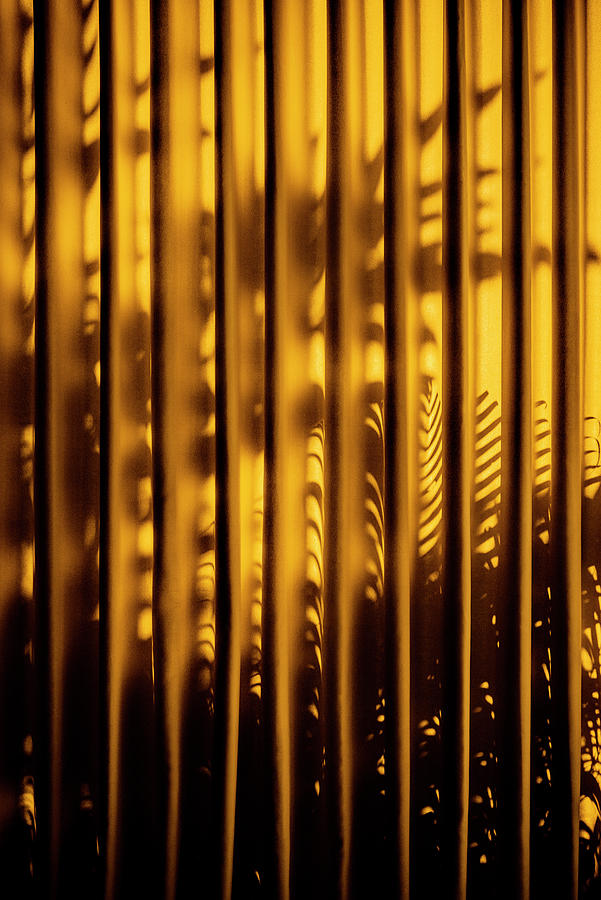 Dreamy Bali - Yellow Curtain Shadow Photograph by Philippe HUGONNARD