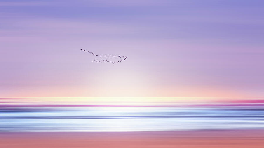 Abstract Photograph - Dreamy Beach Landscape by Nicklas Gustafsson