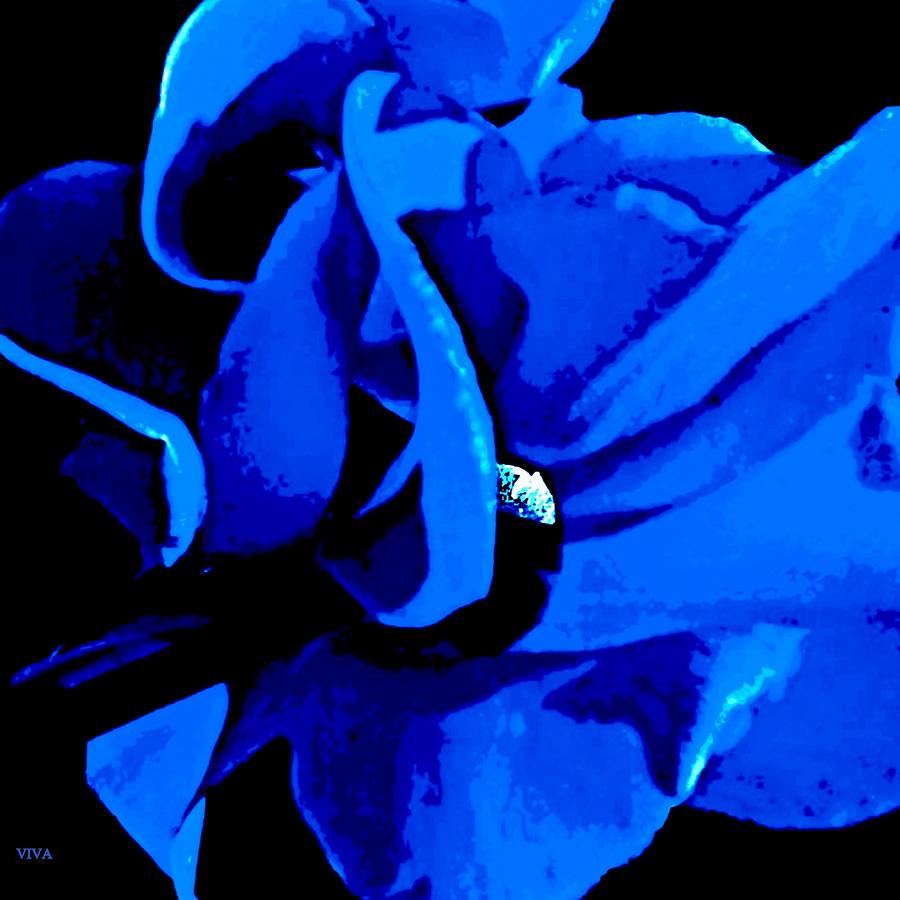 Dreamy  Blue  Cyclamen Photograph by VIVA Anderson