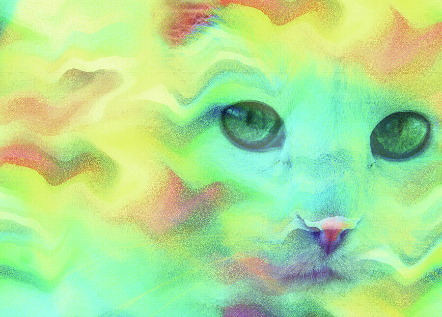 Dreamy Colorful Rainbow Cat  Digital Art by Shelli Fitzpatrick