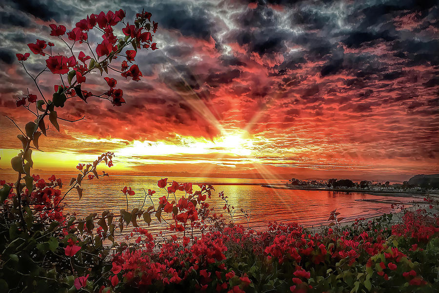 Dreamy Dana Point Photograph by Arpad Petrass - Fine Art America