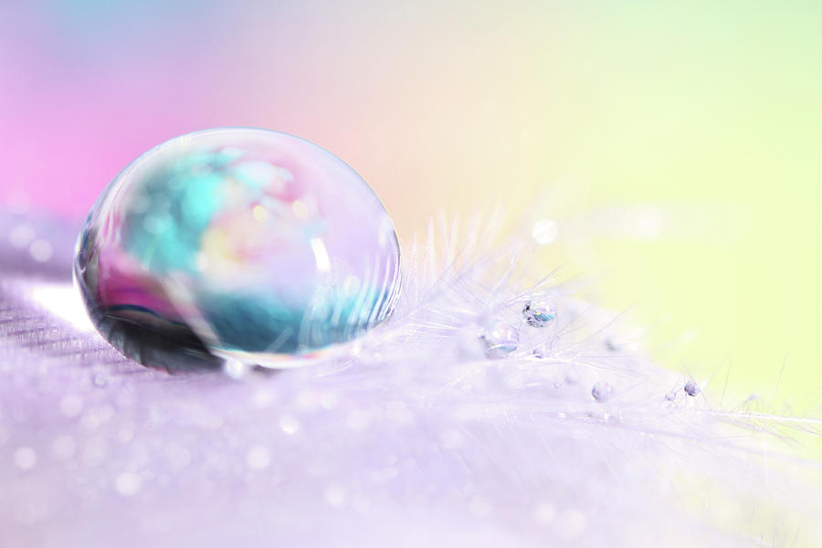 Dreamy Feather Drop II Photograph by Sharon Johnstone