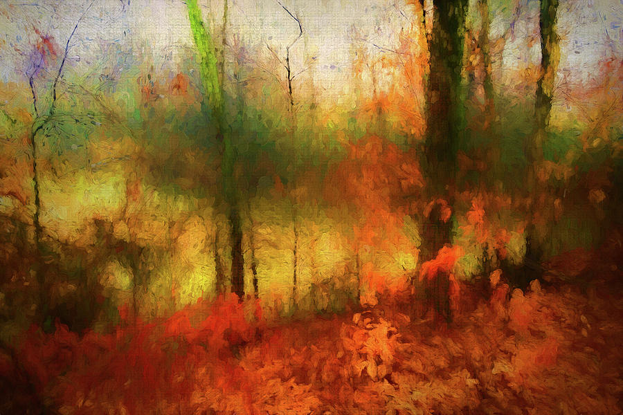 Dreamy Forest Painting Digital Art by Terry Davis