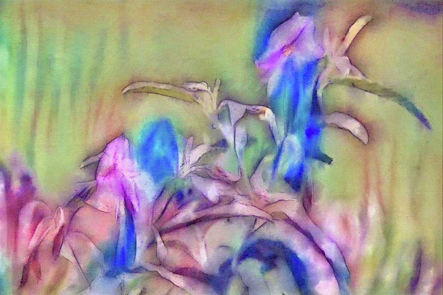 Dreamy Iris Flowers Digital Art by Gaby Ethington
