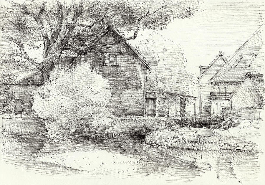Dreamy mood at the village pond Drawing by Adriana Mueller