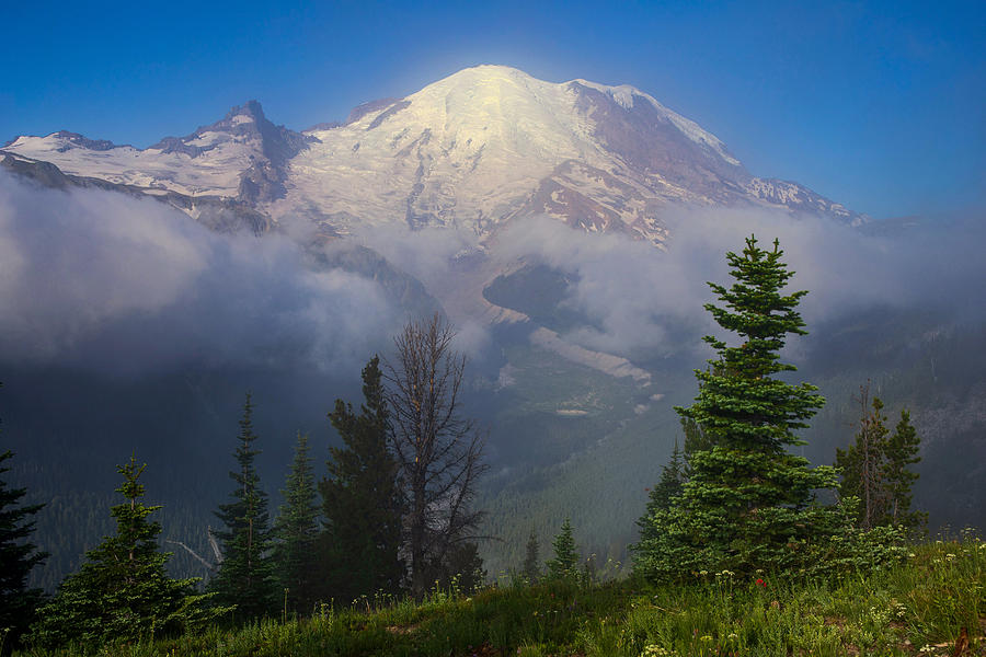 Dreamy Mount Rainier Photograph by Lynn Hopwood
