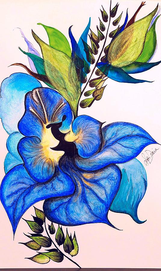 Dreamy pansy Drawing by Sophie Drainville - Fine Art America