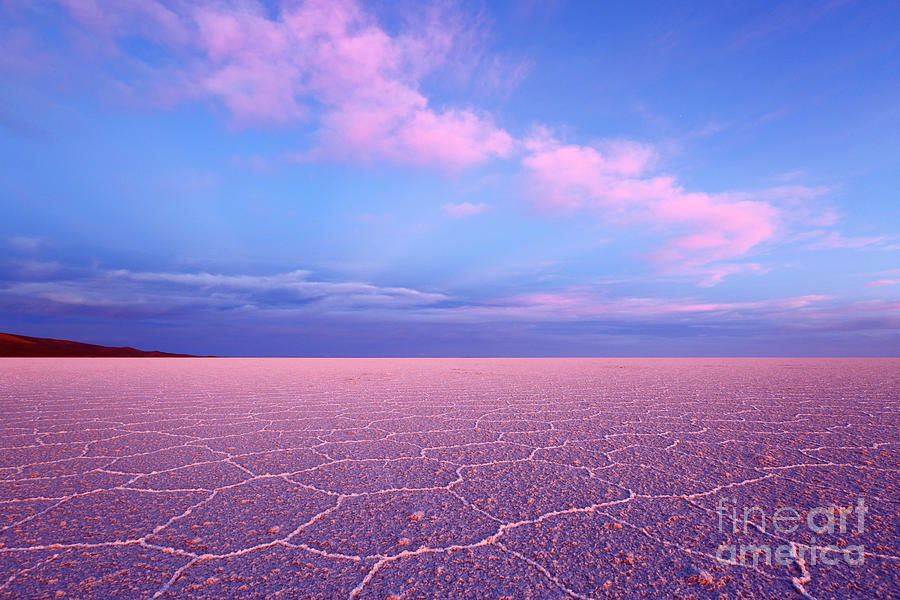 Dreamy Pink Clouds Above the Salar de Uyuni Bolivia Photograph by James Brunker