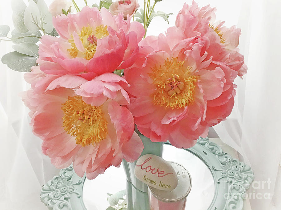 Paris Photograph - Dreamy Coral Pink Peonies Garden Peony Flowers Still Life Mirror Love Grows Here Wall Art Home Decor by Kathy Fornal