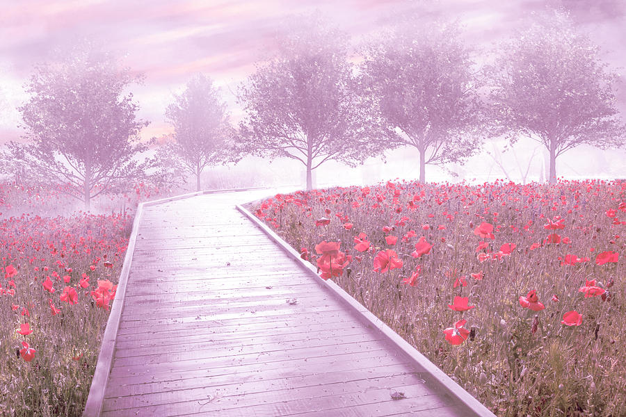 Dreamy Poppies Trail Photograph by Debra and Dave Vanderlaan