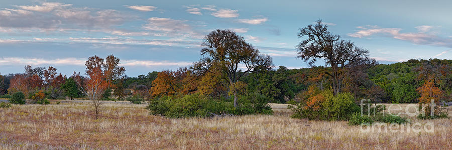 Dreamy Prairie with Fall Foliage at Canyon Lake - Comal County Texas Hill Country Photograph by Silvio Ligutti