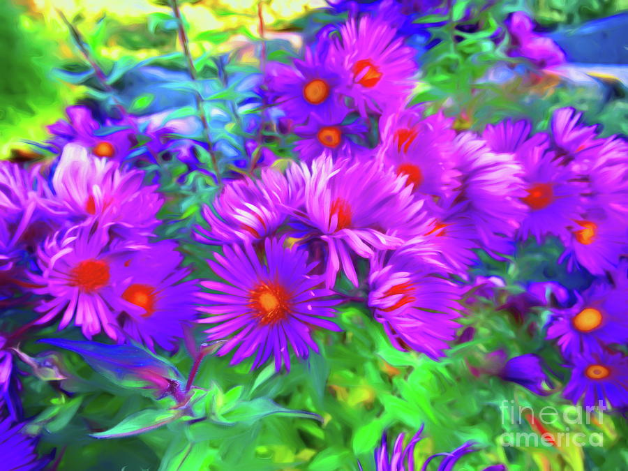 Dreamy Purple English Asters Photograph by Toni Saddler-French