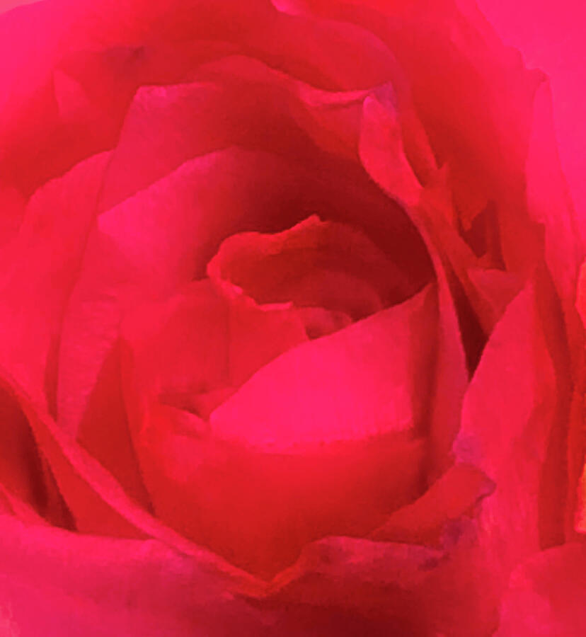 Dreamy Red Rose Photograph by Lorraine Palumbo