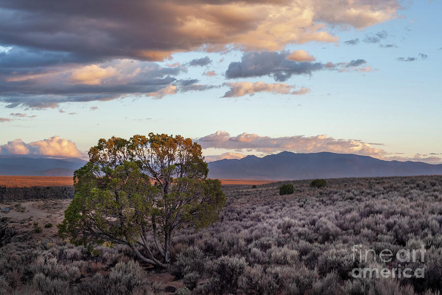 Dreamy Taos Plateau Photograph by Roselynne Broussard