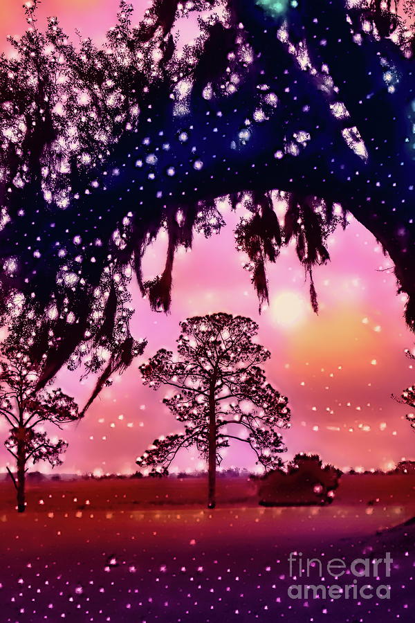 Dreamy Tree and Marsh Lights Photograph by Sea Change Vibes