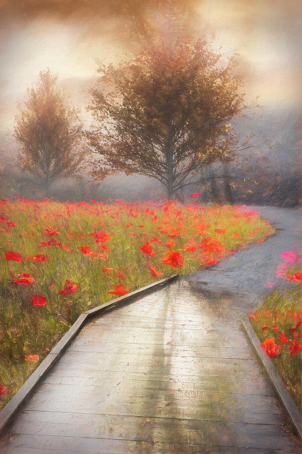 Dreamy Walk in Poppies II Painting Photograph by Debra and Dave Vanderlaan