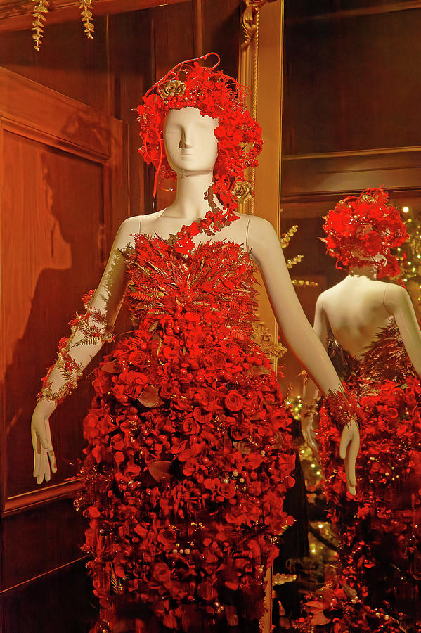 Dress of Red Flowers Photograph by Sally Weigand