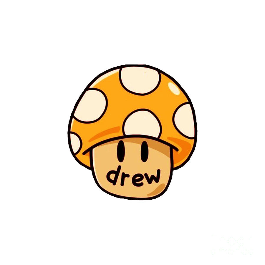 Drew House 2020 Digital Art by Artist Art - Pixels