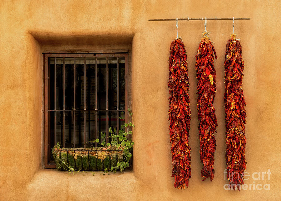 Dried Chilis and Window Photograph by Jerry Fornarotto